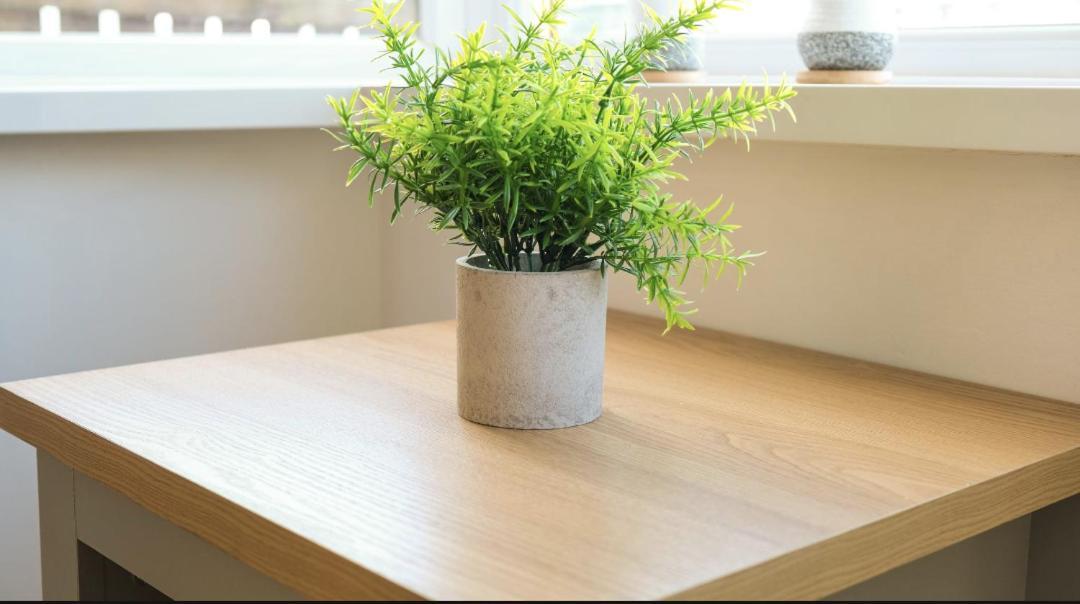 3 Bed, Parking Inc 15 Percent Off For Monthly Stays Westoe Eksteriør billede